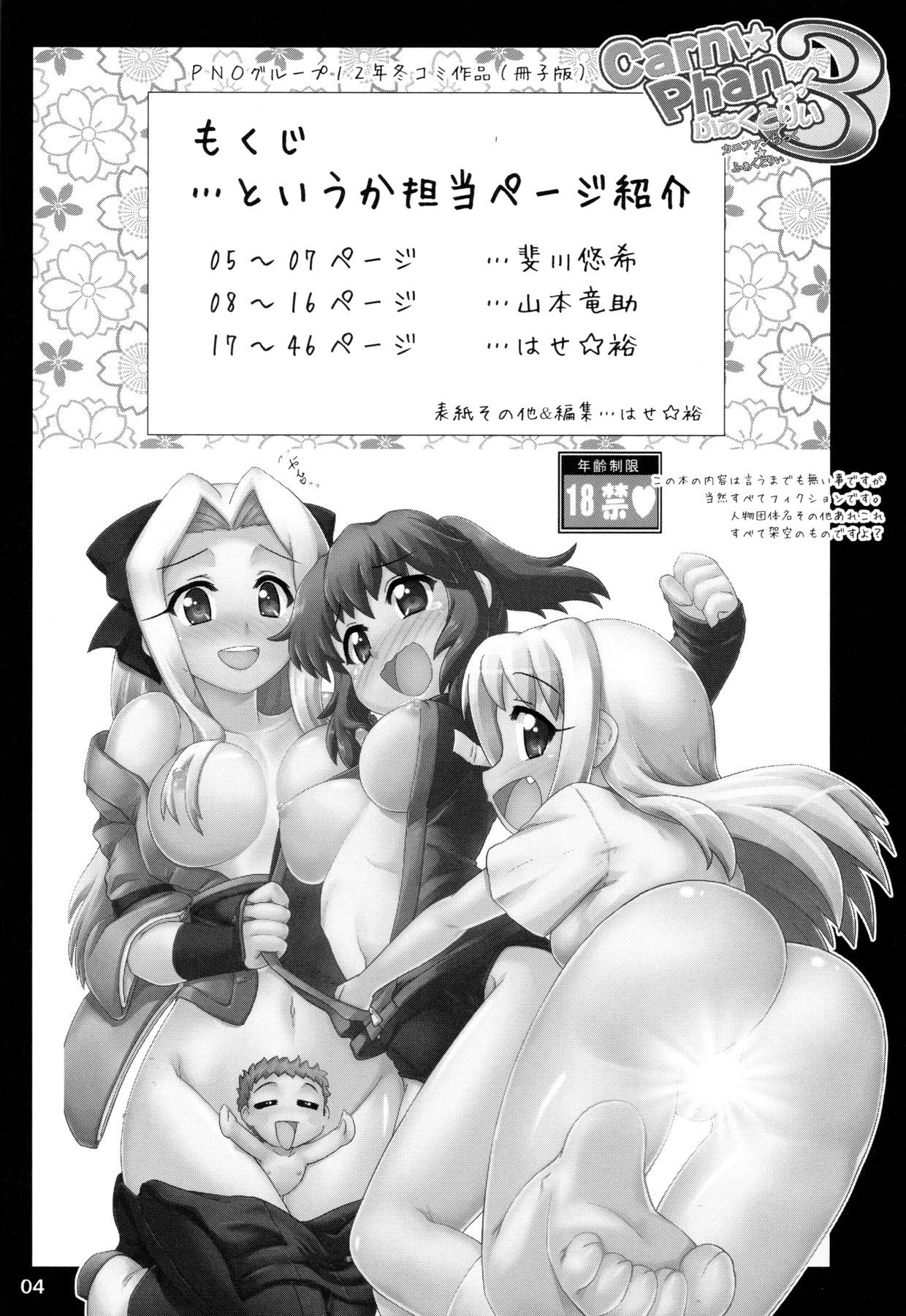 Huge Ass Carni☆Phan tic factory 3 - Fate zero Cartoon - Page 3