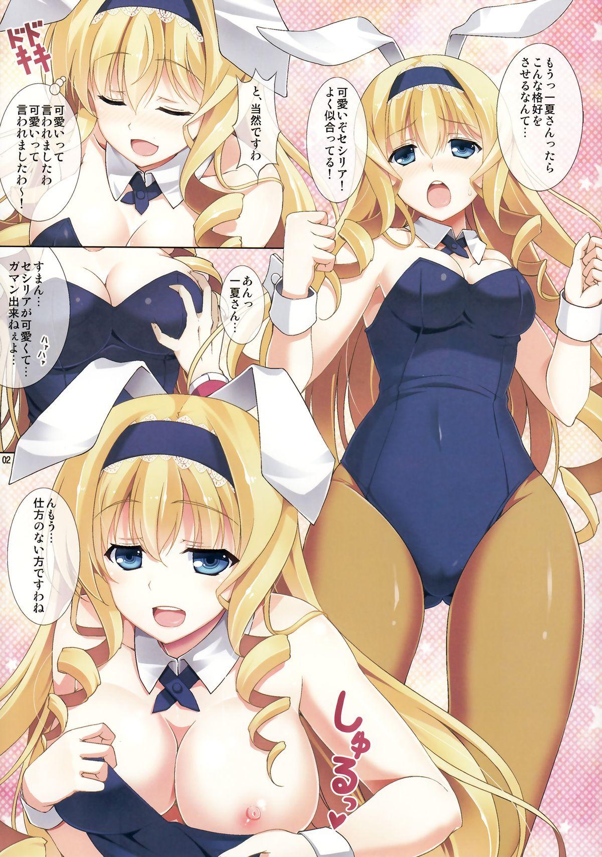 Putinha Cecilia Usagi wa Hatsujou Chuu - Infinite stratos Con - Page 3