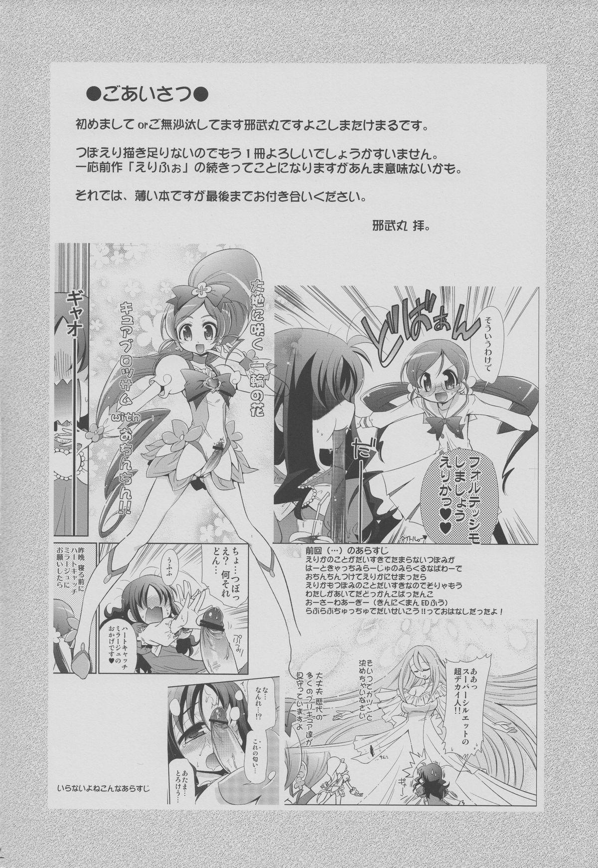 Cunnilingus Erikon - Heartcatch precure Aunt - Page 3