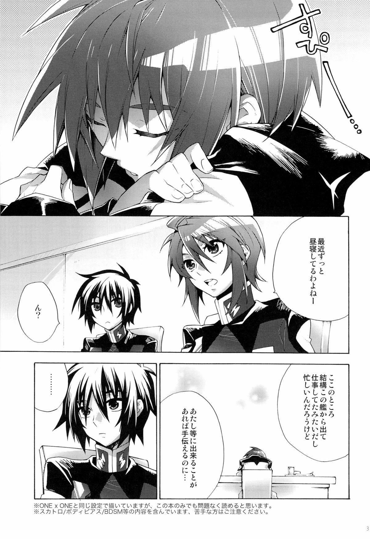 Massages Give and Give - Gundam seed destiny Older - Page 3