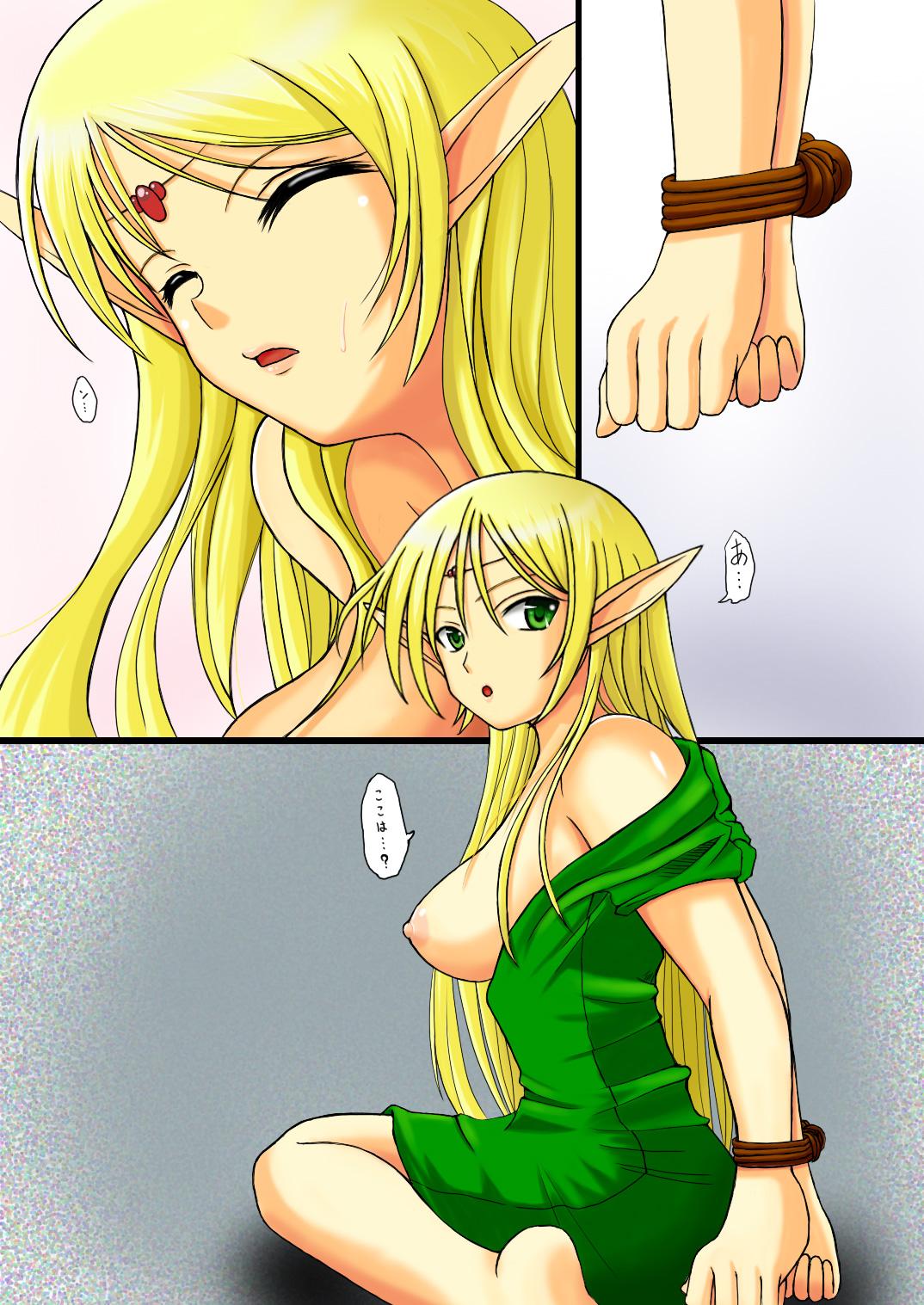 Little Record of Lodoss War - Record of lodoss war One - Picture 1