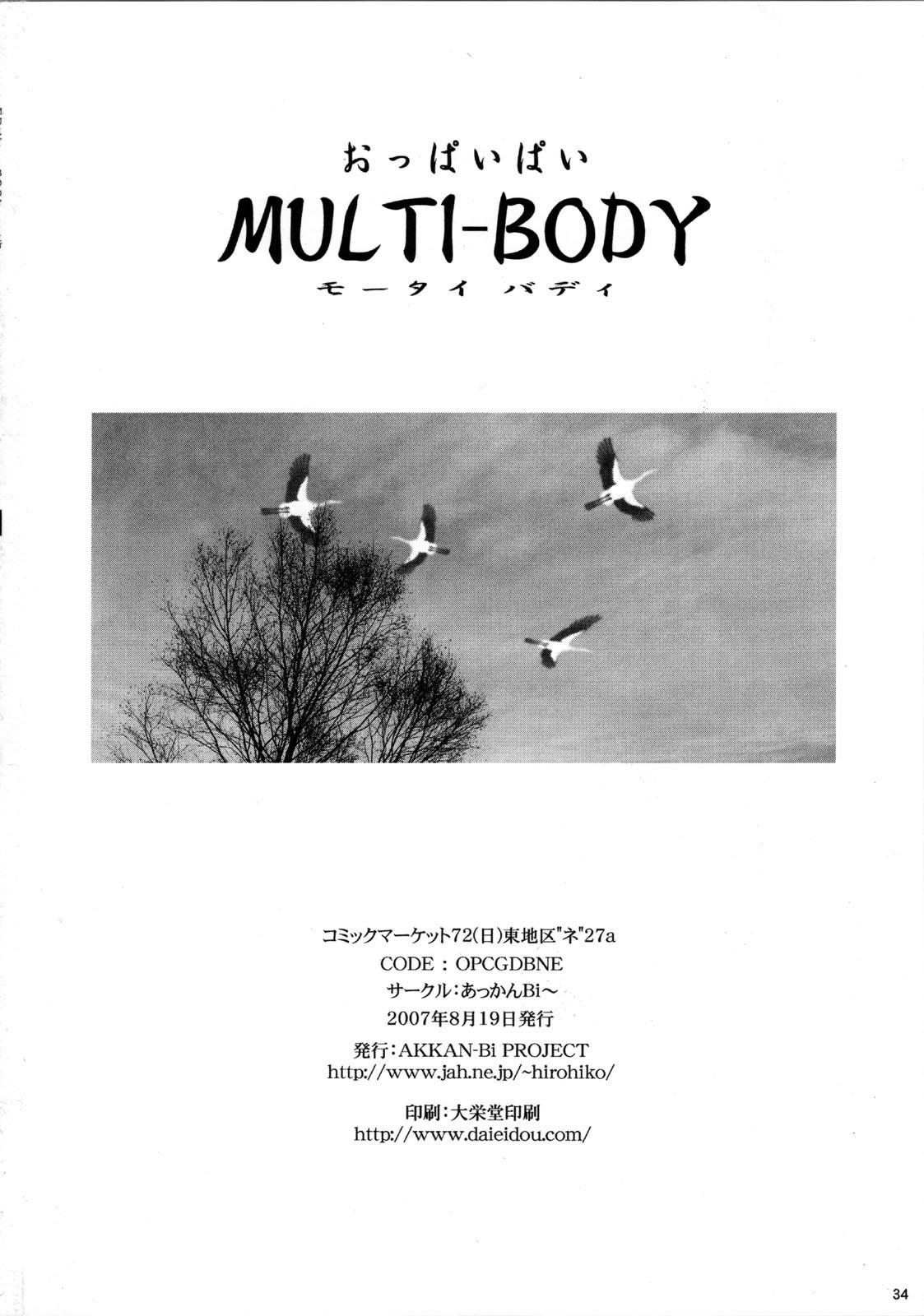 MULTI-BODY 29
