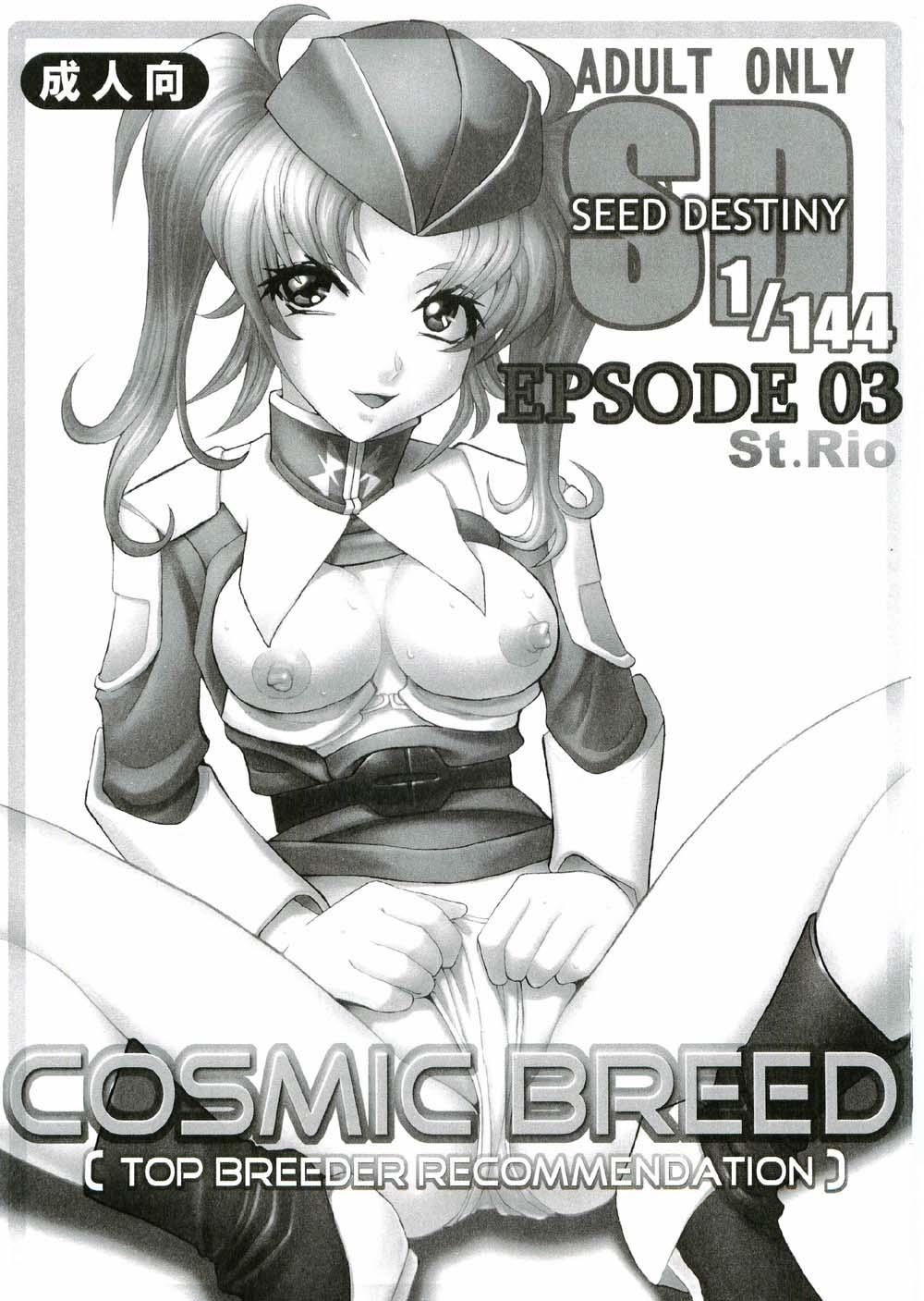 Pussy Eating COSMIC BREED 3 - Gundam seed destiny Sucks - Page 2