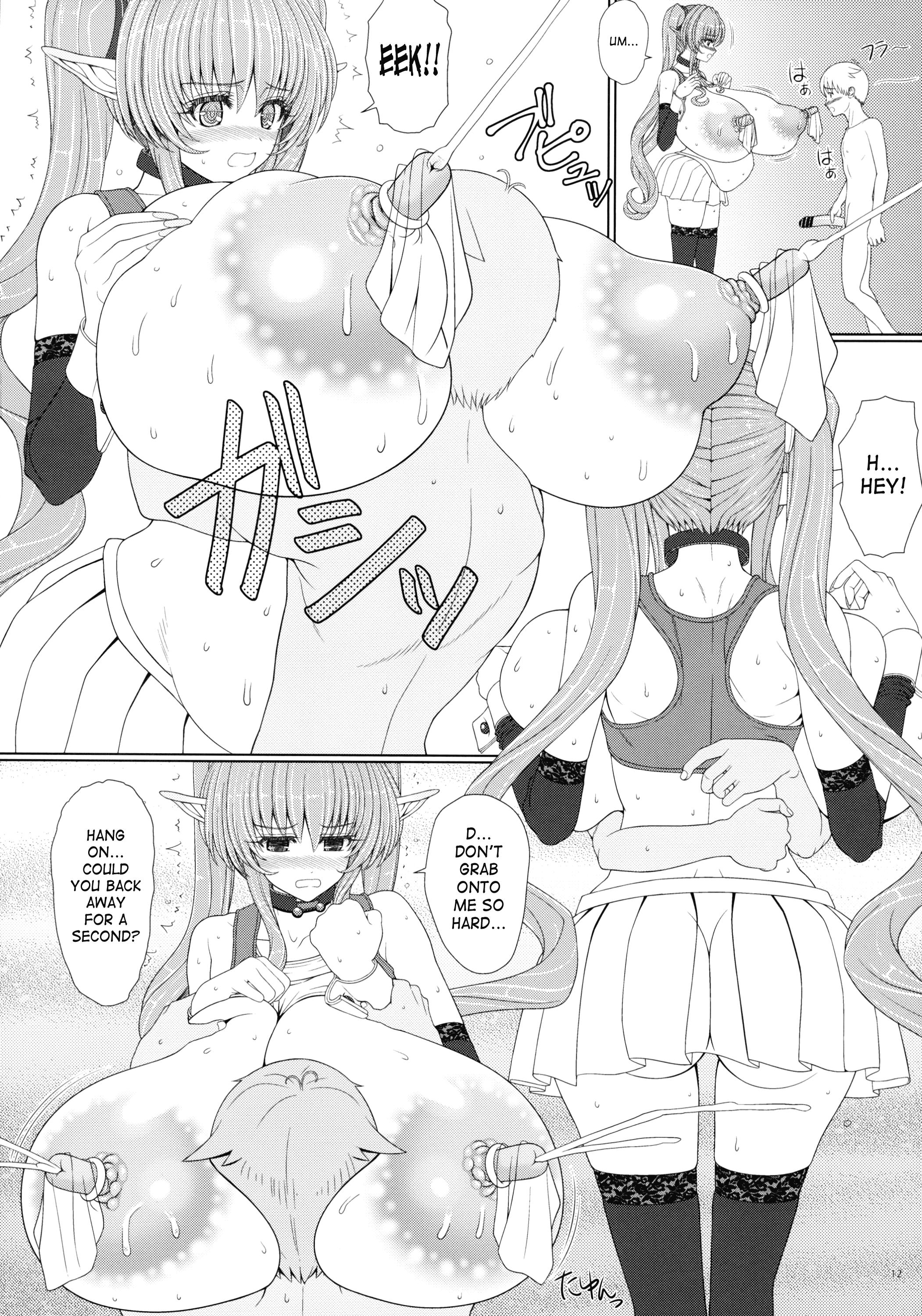 El toiu Shoujo no Monogatari X2 | Story of an Elf Girl X2 11