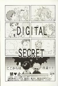 Digital Secret 2