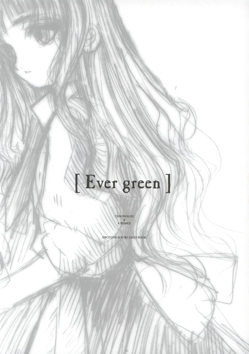 - Ever Green 3