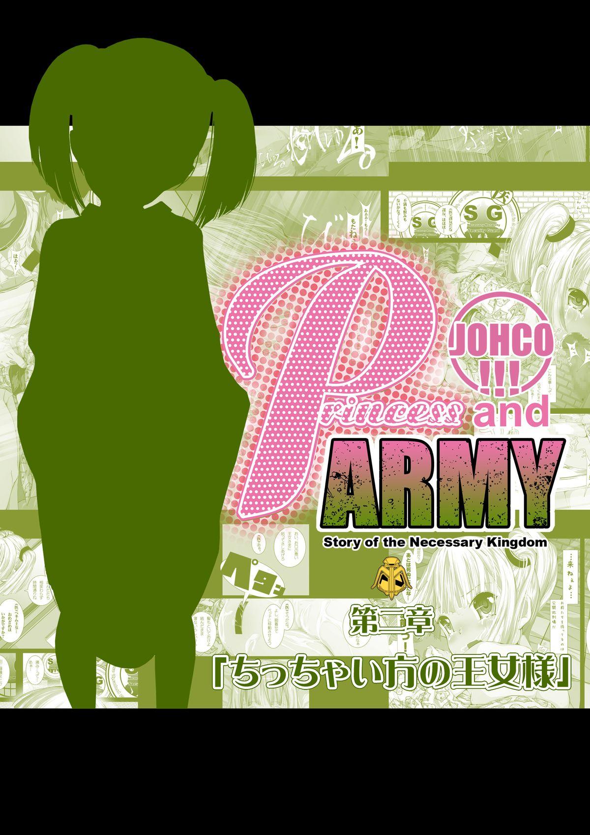 JOHCO/Princess and ARMY 29