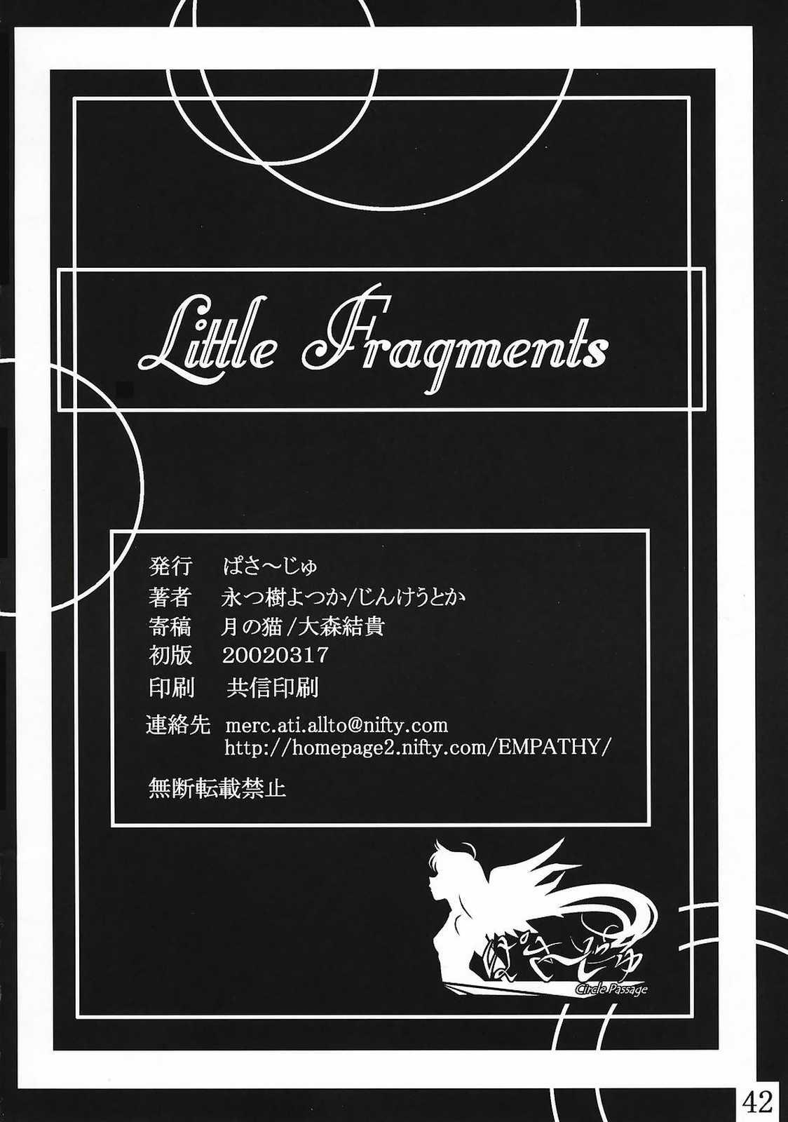 Little Fragments 40