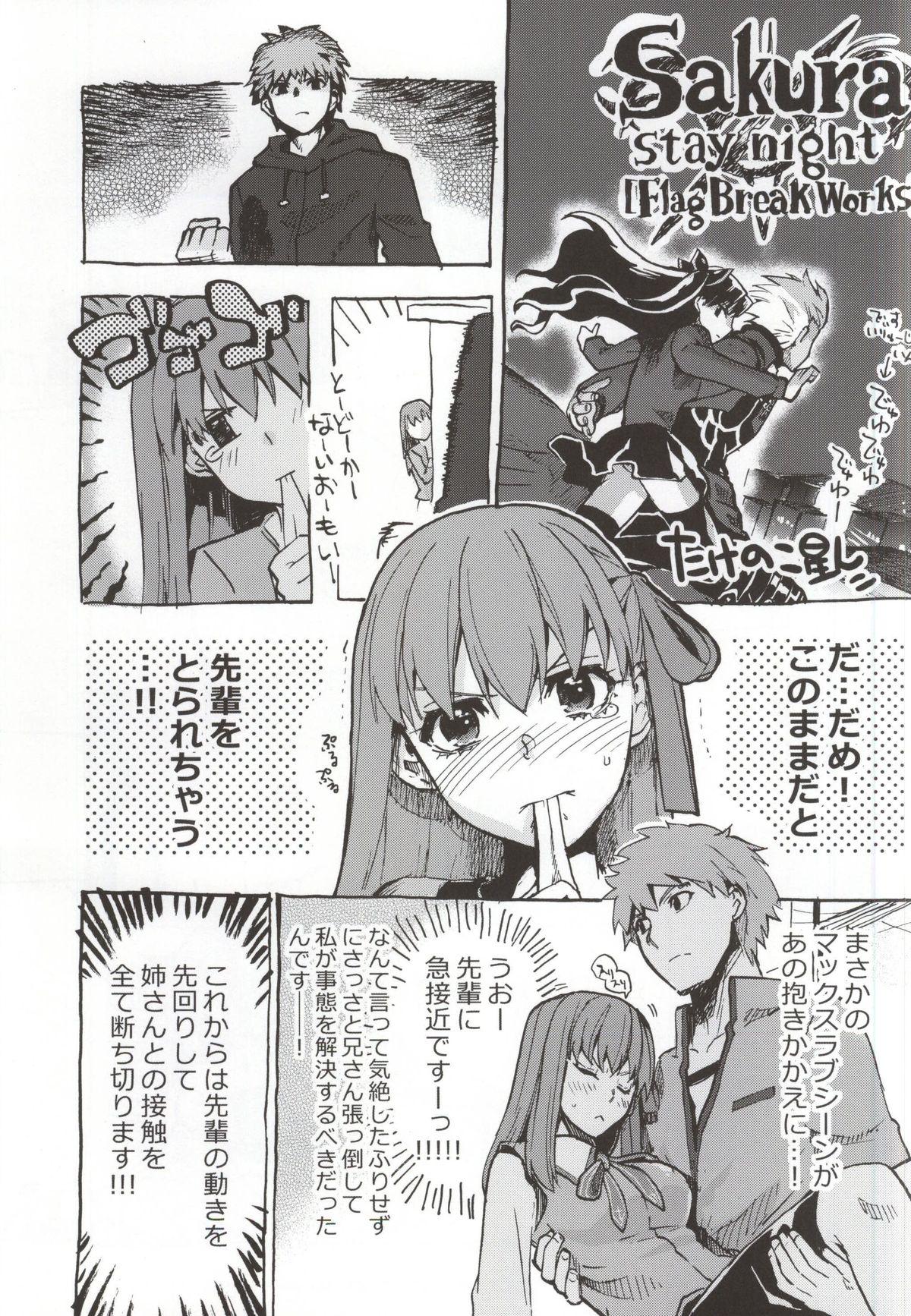 Domina Araikko! - Fate stay night Bbc - Page 20