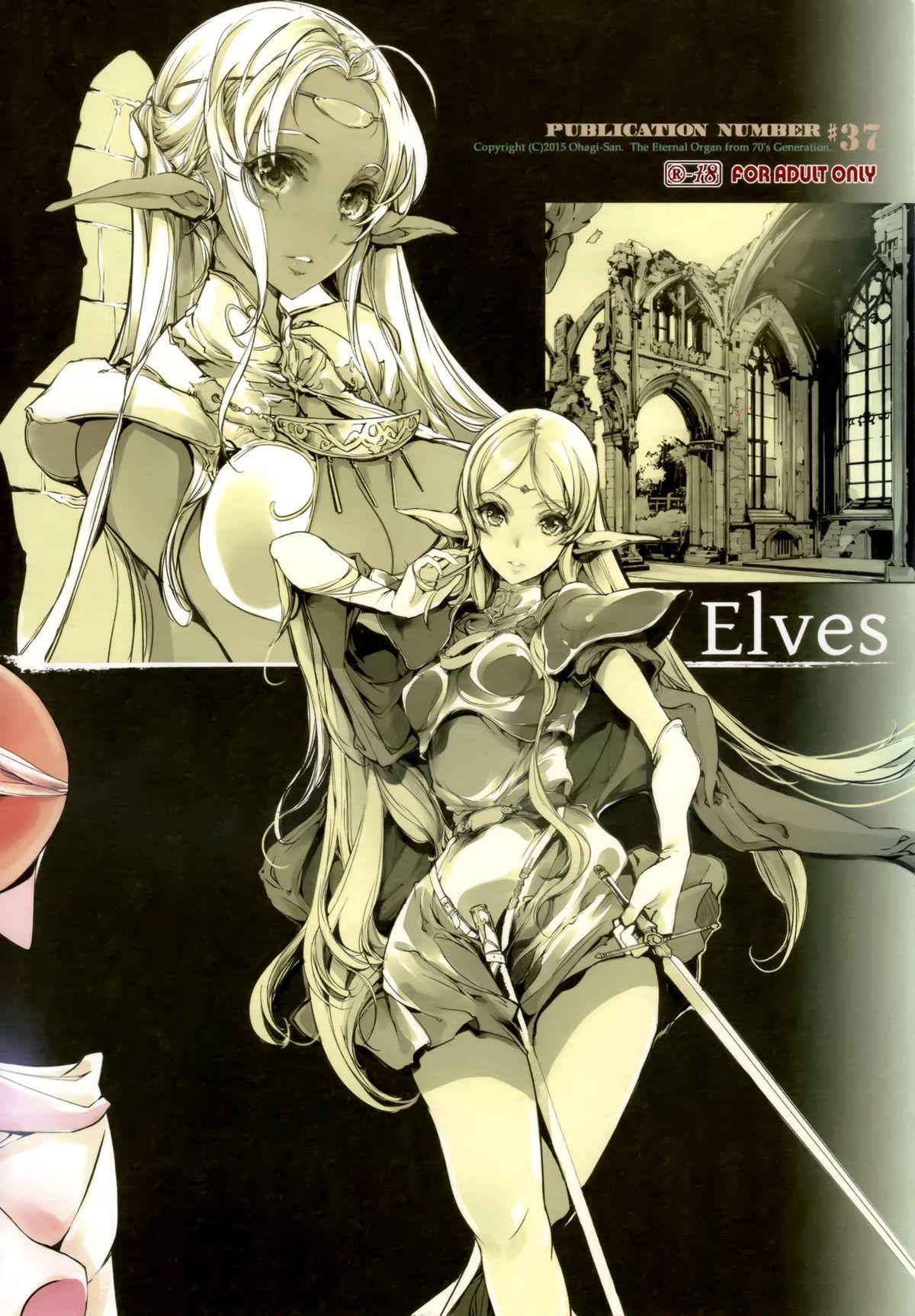 Clitoris Elves - Record of lodoss war Caiu Na Net - Page 41