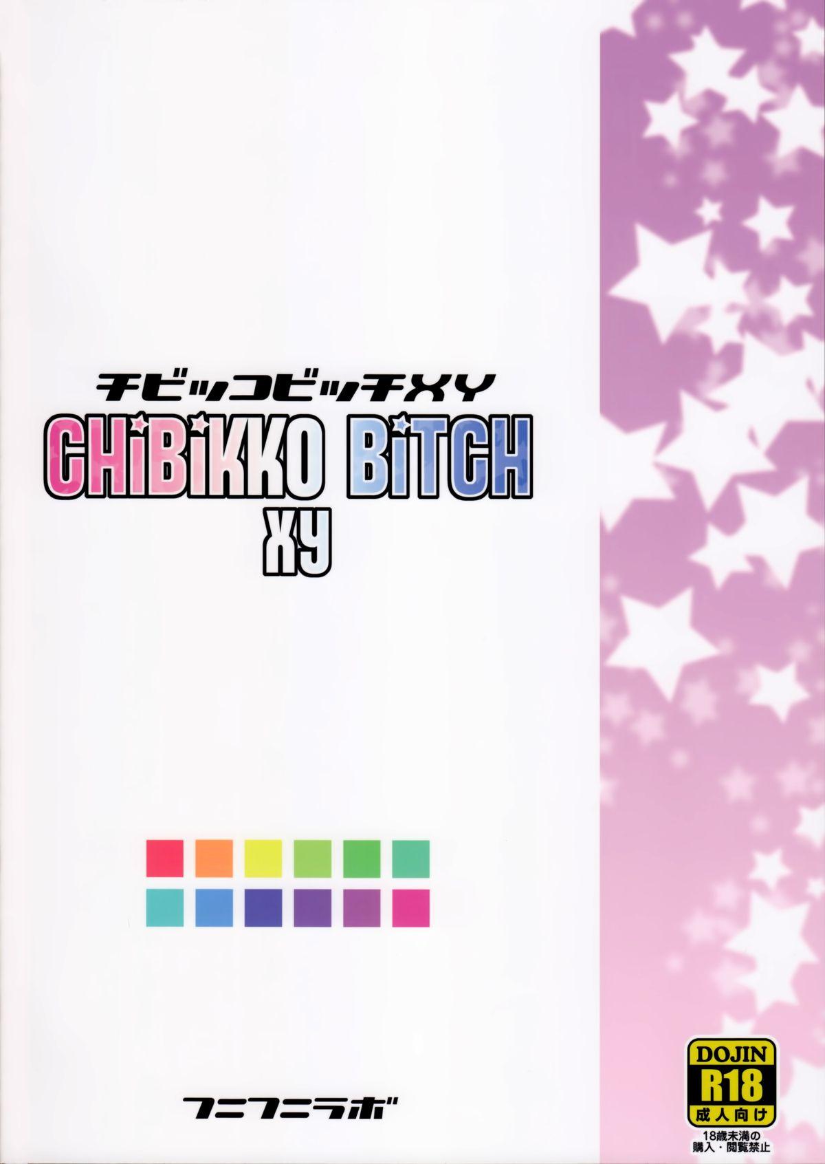 Chibikko Bitch XY 33