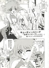 Sexpo Aniparo Miki 8 Neon Genesis Evangelion Magic Knight Rayearth Cutey Honey Nurse Angel Ririka Sos Dragon Ball Gt Nena 5