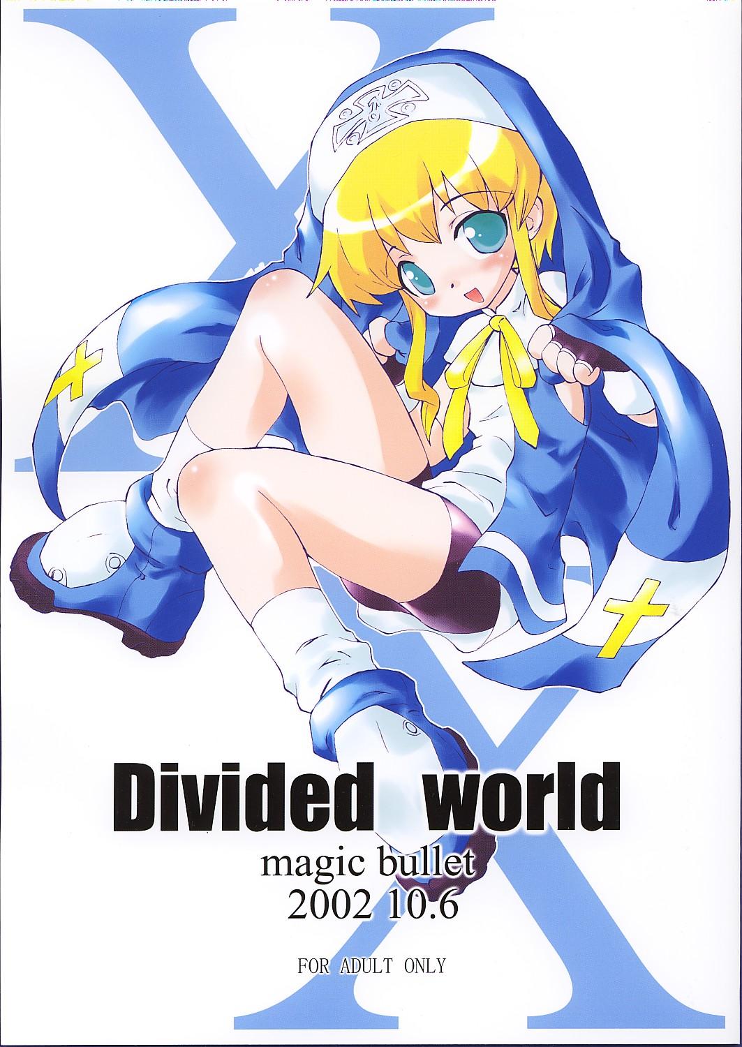 Divided world 0