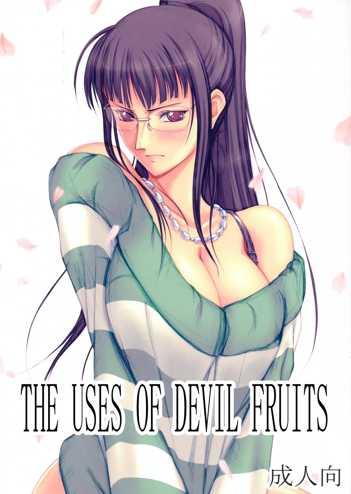 Akuma no Mi no Tsukaikata | The Use of Devil Fruits 0