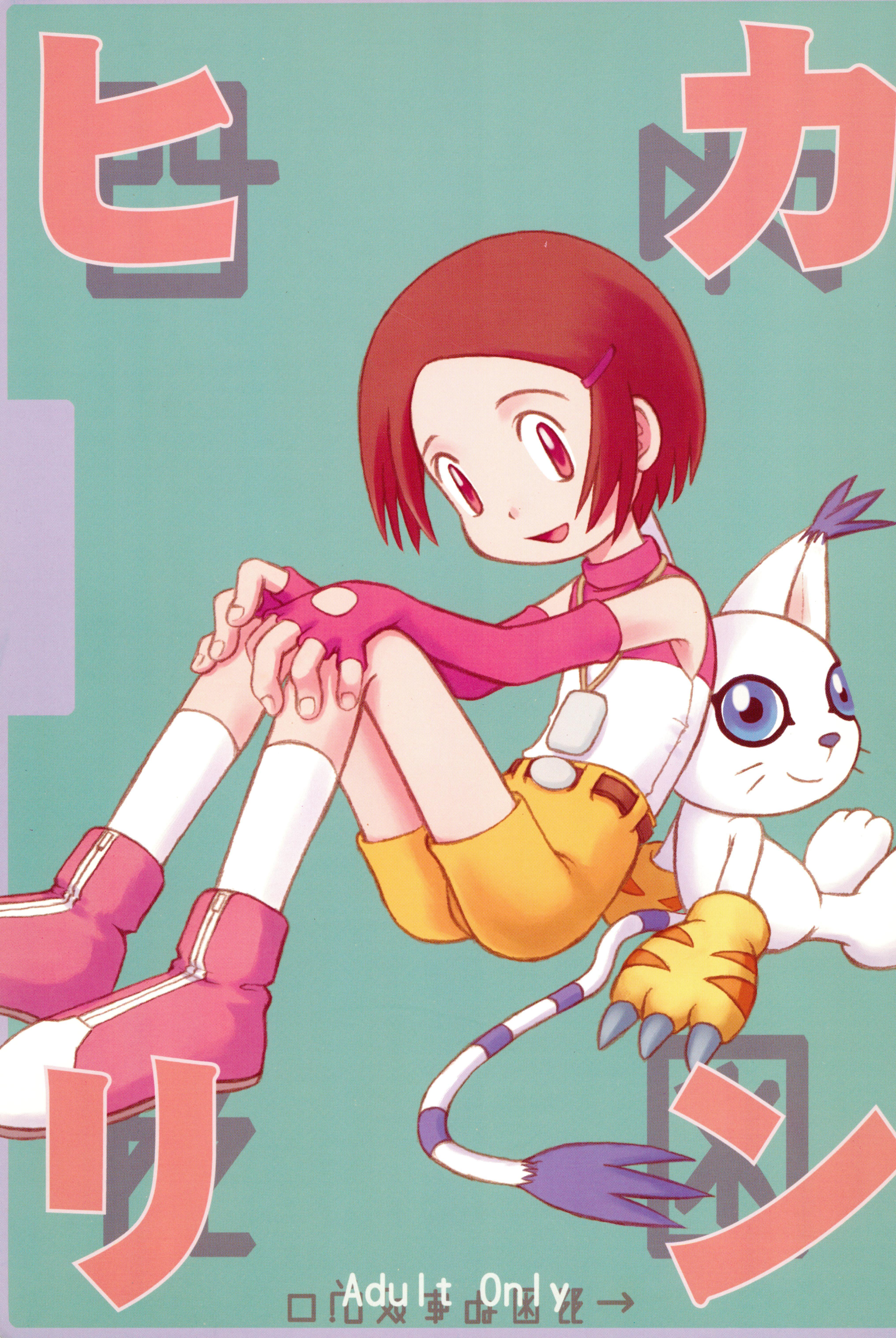 Scissoring Hikarin - Digimon adventure Cei - Picture 1