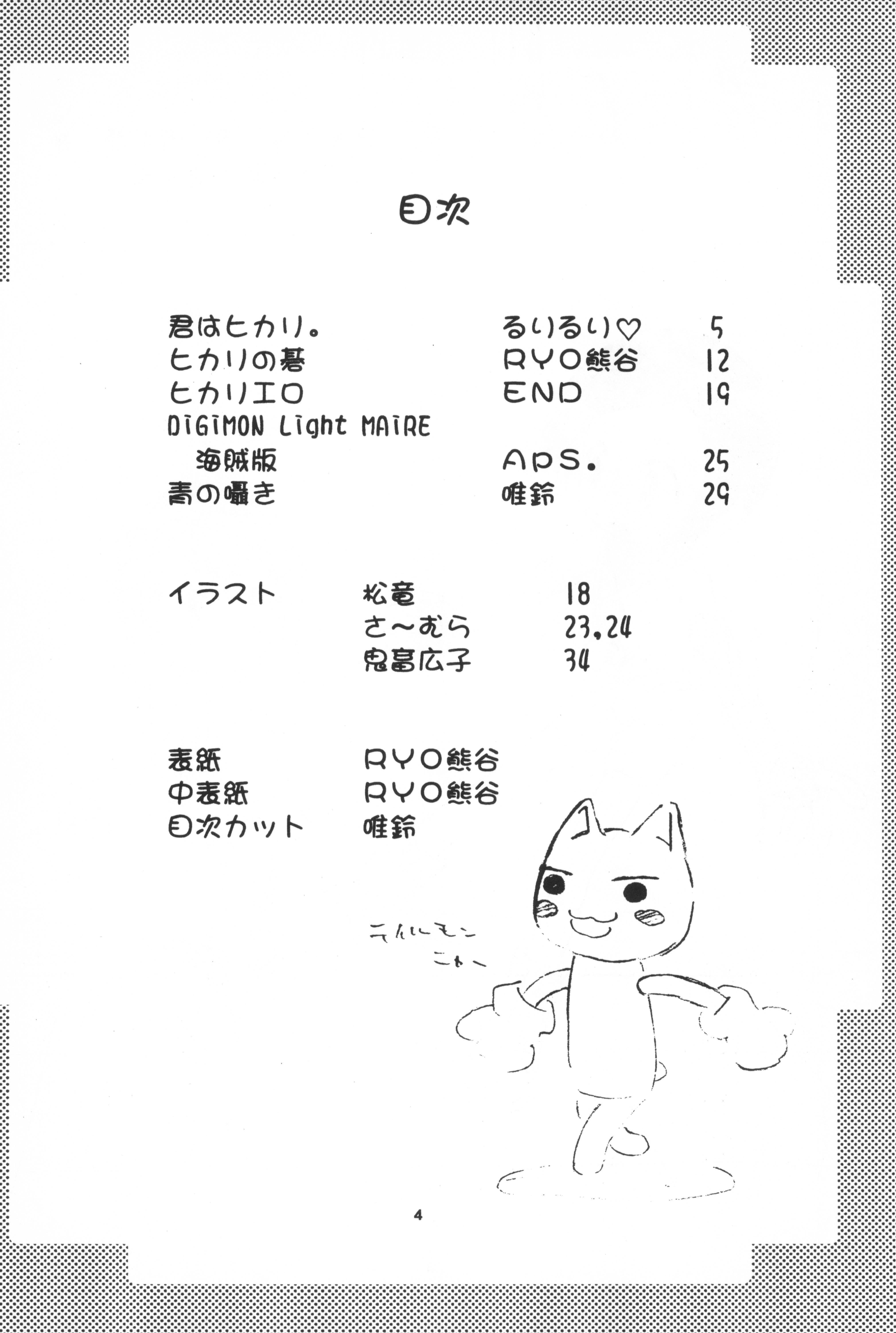 Teenfuns Hikarin - Digimon adventure Sextoy - Page 4