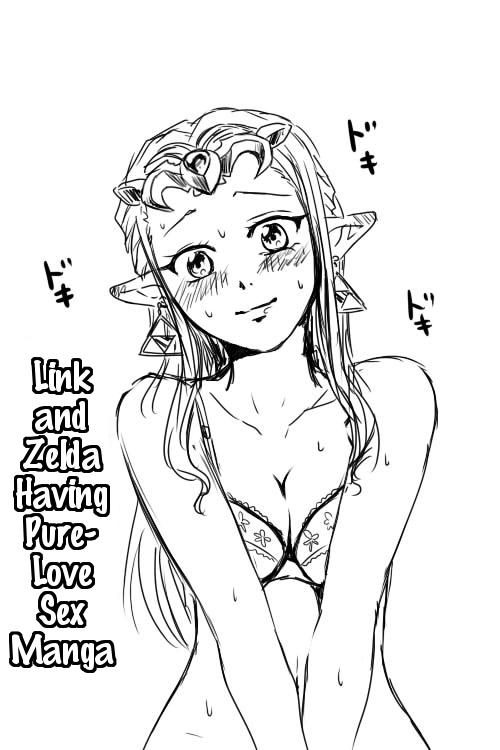 Link to Zelda ga Jun Ai Ecchi suru Manga | Link and Zelda Having a Pure-Love Sex Manga 1