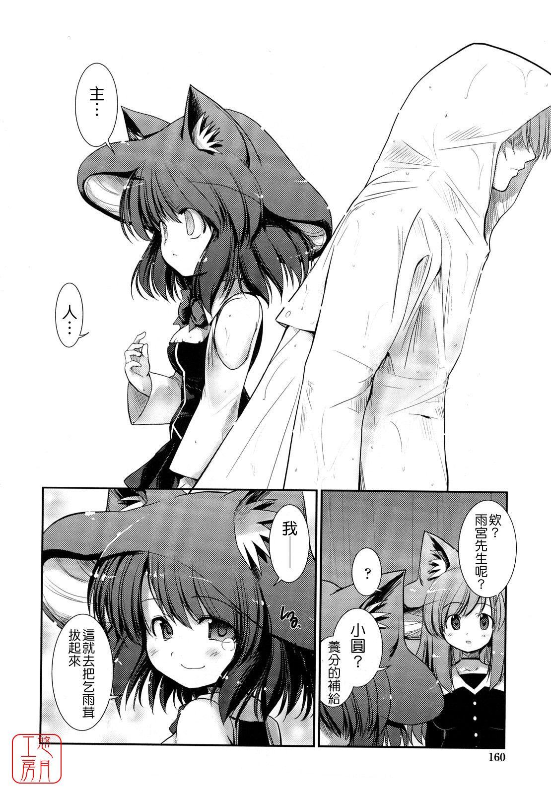 nekokino to ame no machi 157