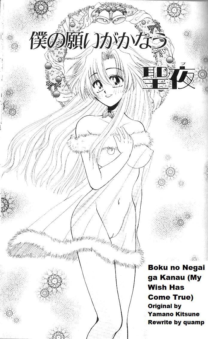 Boku No Negai ga Kanau [My Wish Has come True, rewrite 1