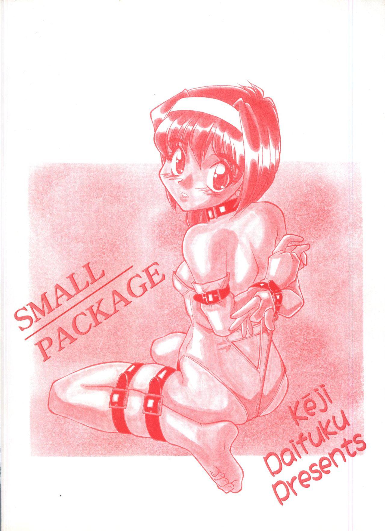 Small Package 162