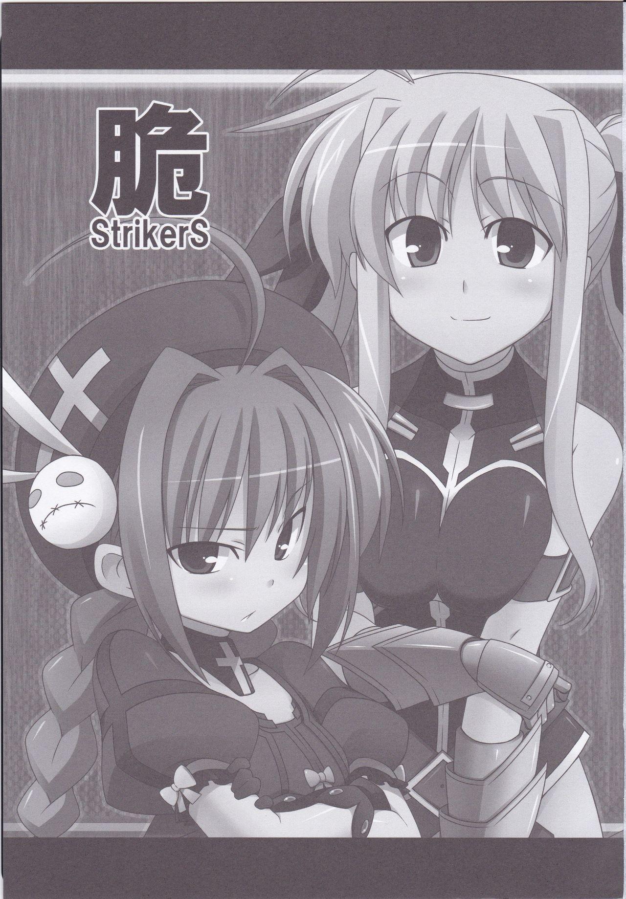 Fate-chan Igai to Moroi no StrikerS 3