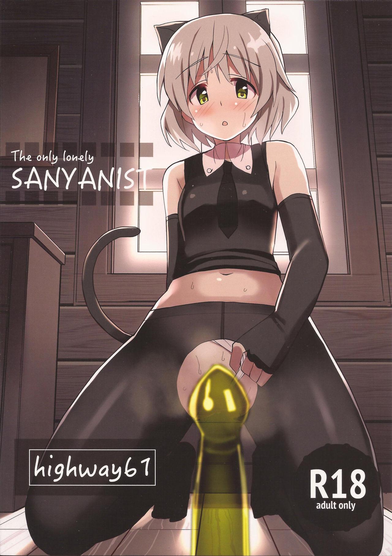 Vadia The only lonely SANYANIST - Strike witches 1080p - Page 18