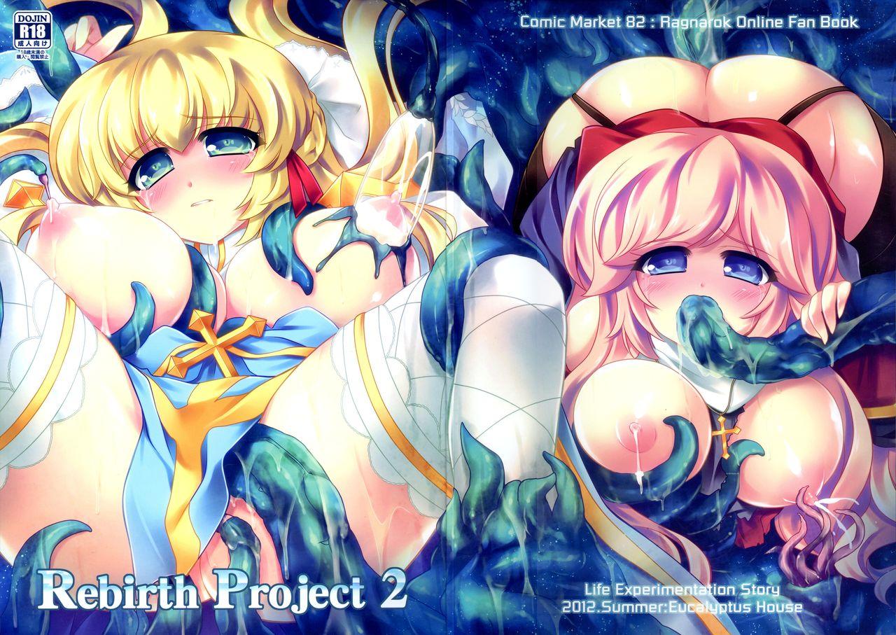 Rebirth Project 2 0