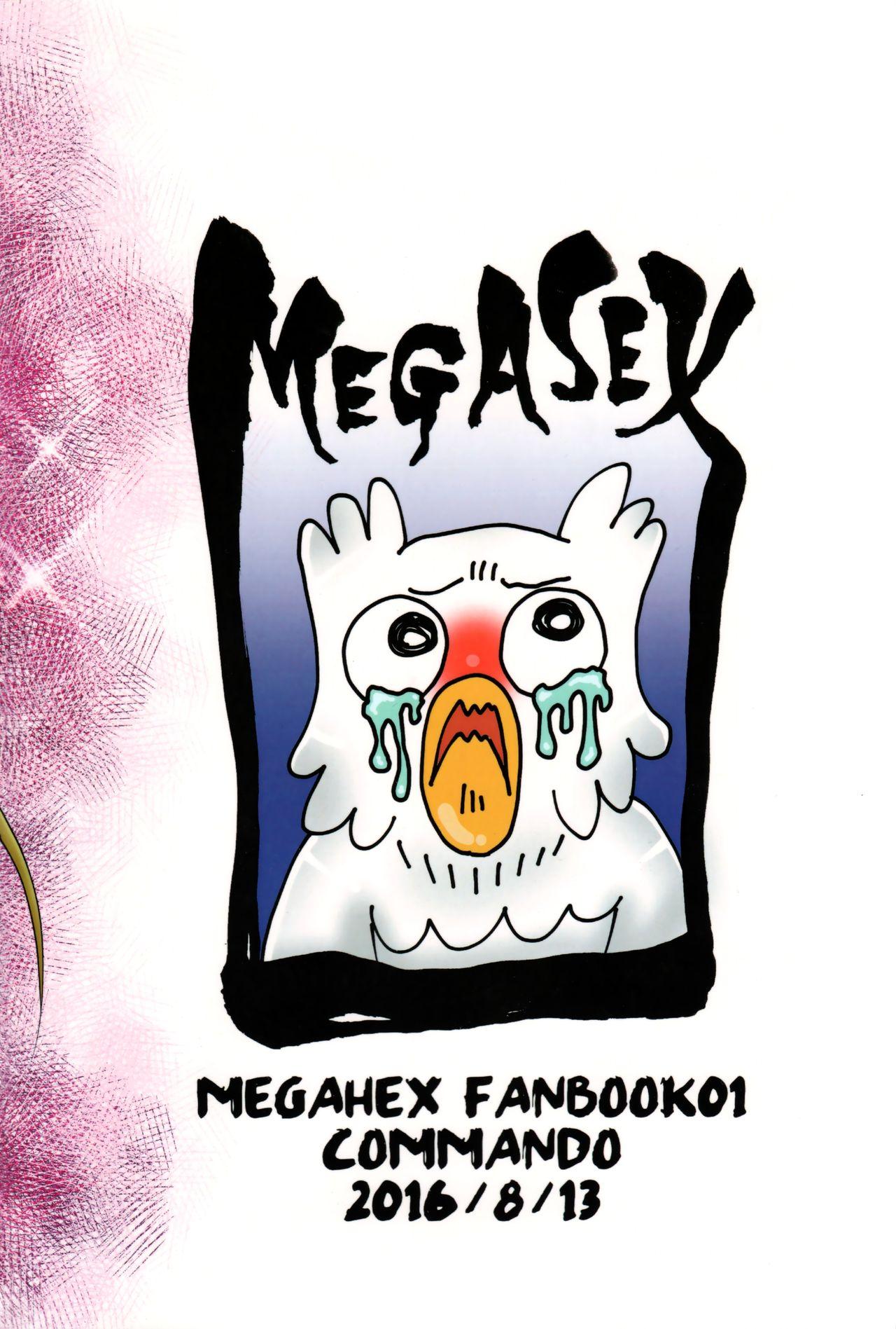 Megasex 27