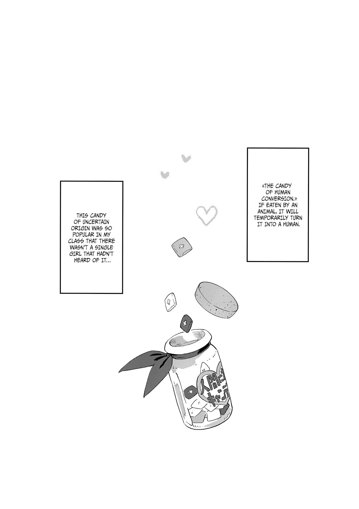 Milf (COMITIA119) [ZOAL (LENA[A-7])] Uchi no Kawaii Kawaii Wanko-chan | My Cutey-Cute Doggy [English] [34th squad] Story - Page 3