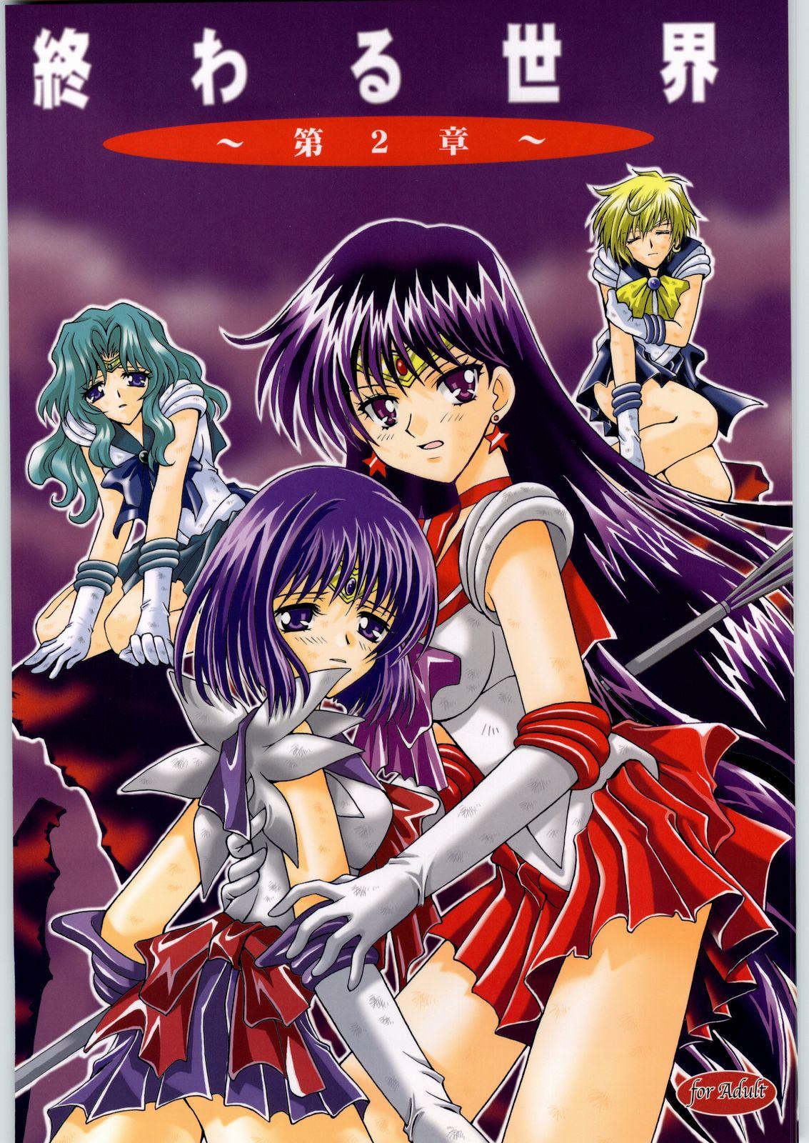 Sexy (CR33) [Kotori Jimusho (Sakura Bunchou)] Owaru Sekai Dai-2-shou (Bishoujo Senshi Sailor Moon) - Sailor moon HD - Page 66