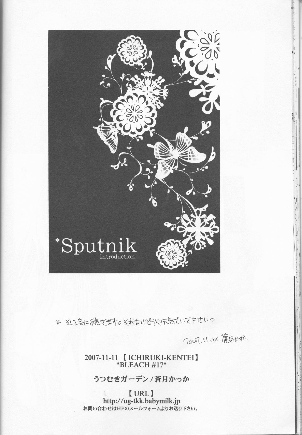 Sputnik Introduction 21