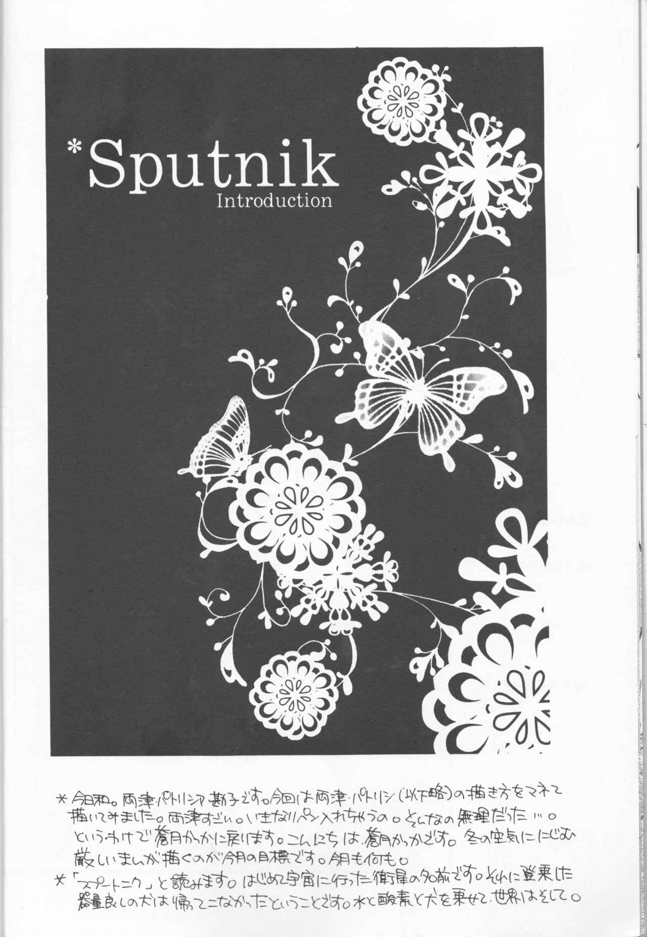 Sputnik Introduction 7