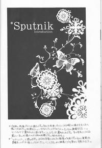 Sputnik Introduction 8