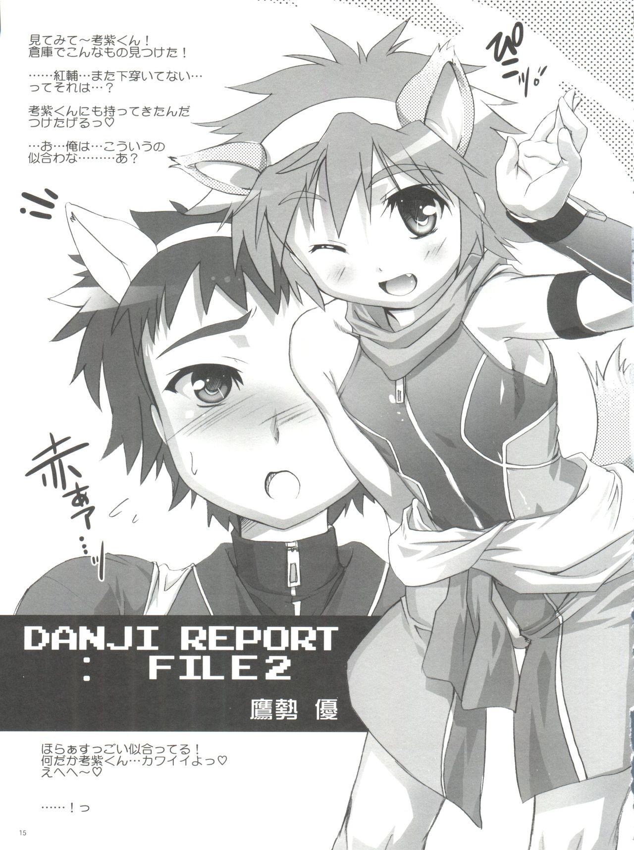 Danji Report: REVIEW 13