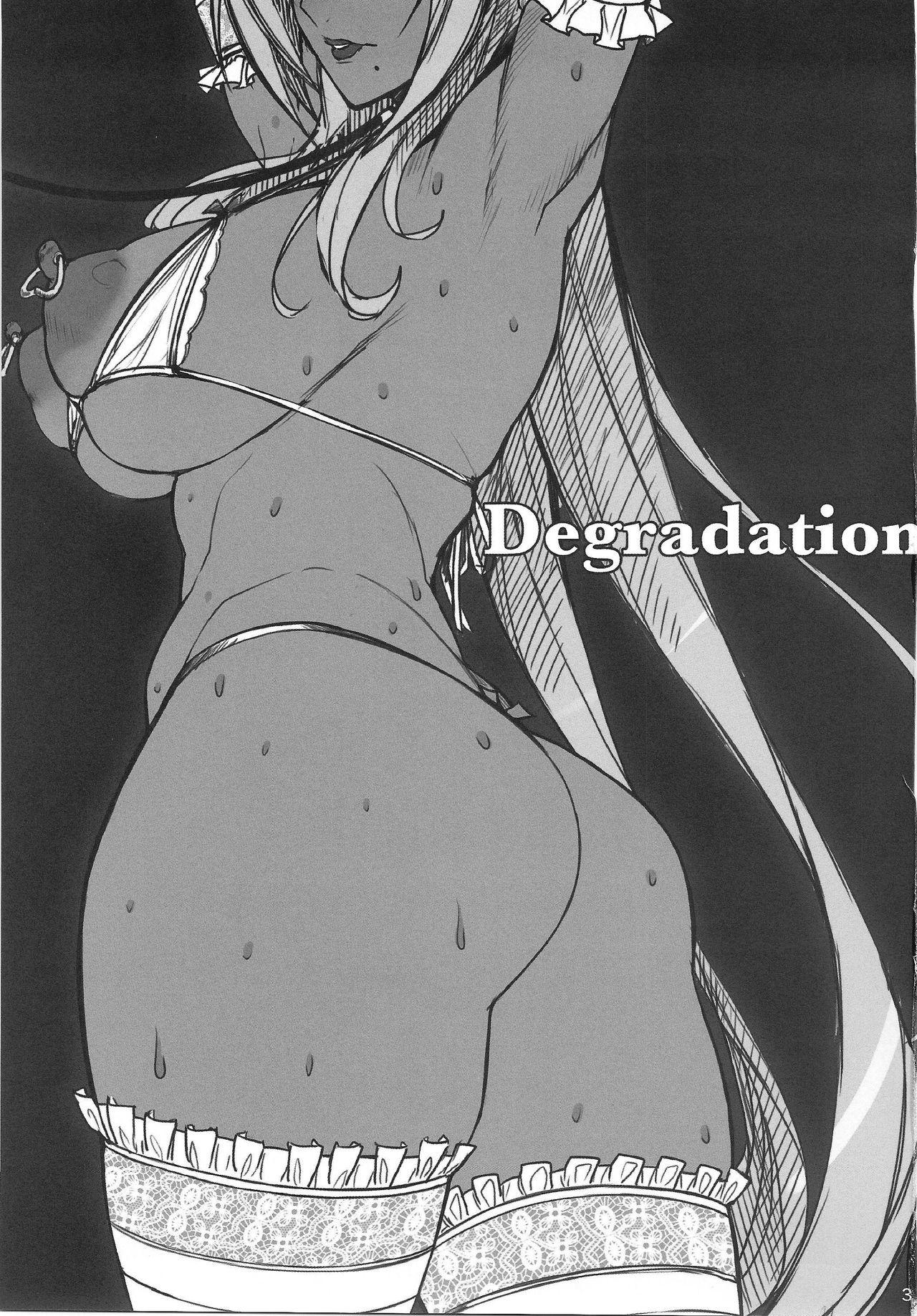 Degradation 1