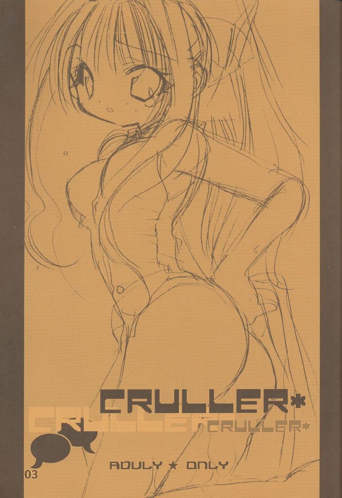 Cruller 1