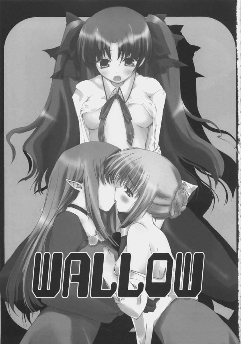 Gay Domination Wallow - Fate stay night Hungarian - Page 2