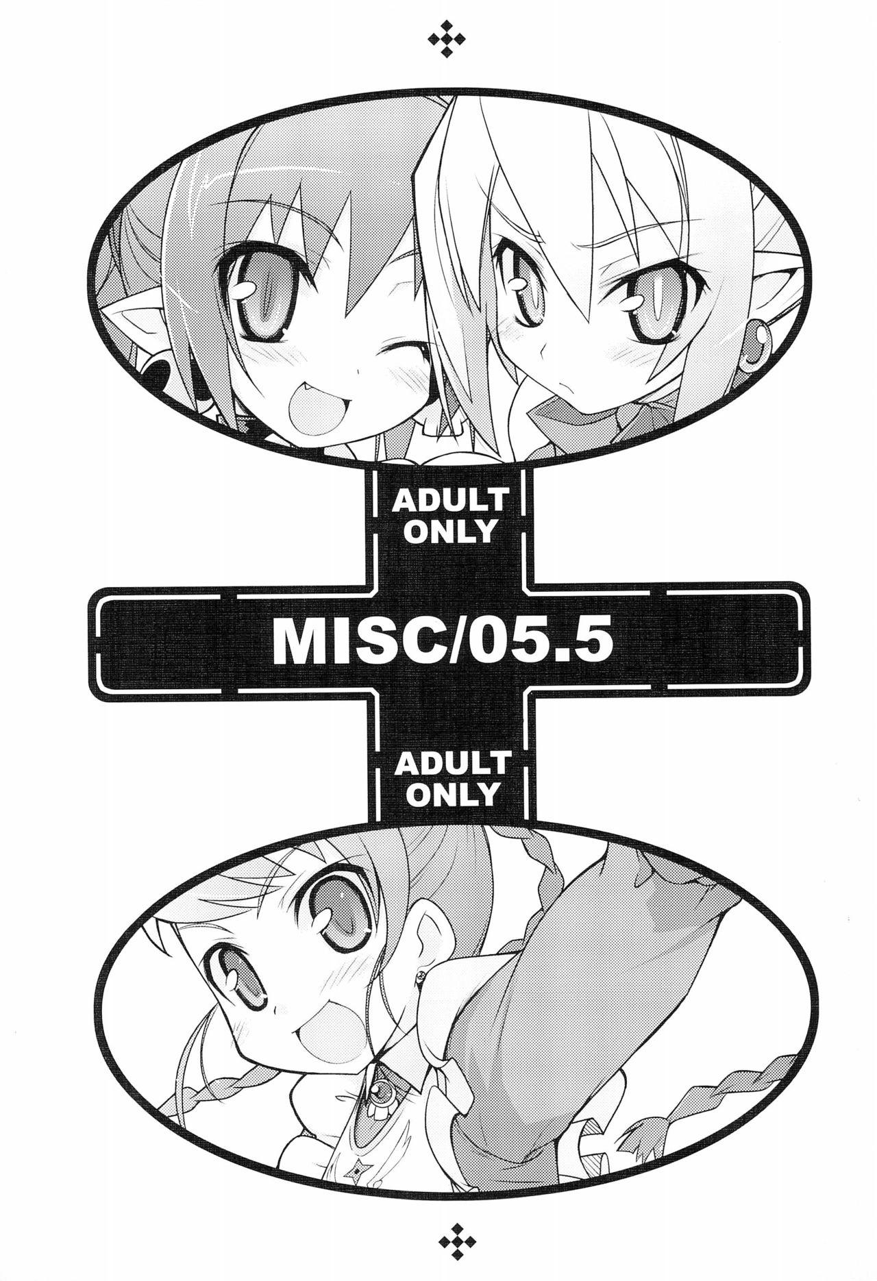 MISC/05.5 0