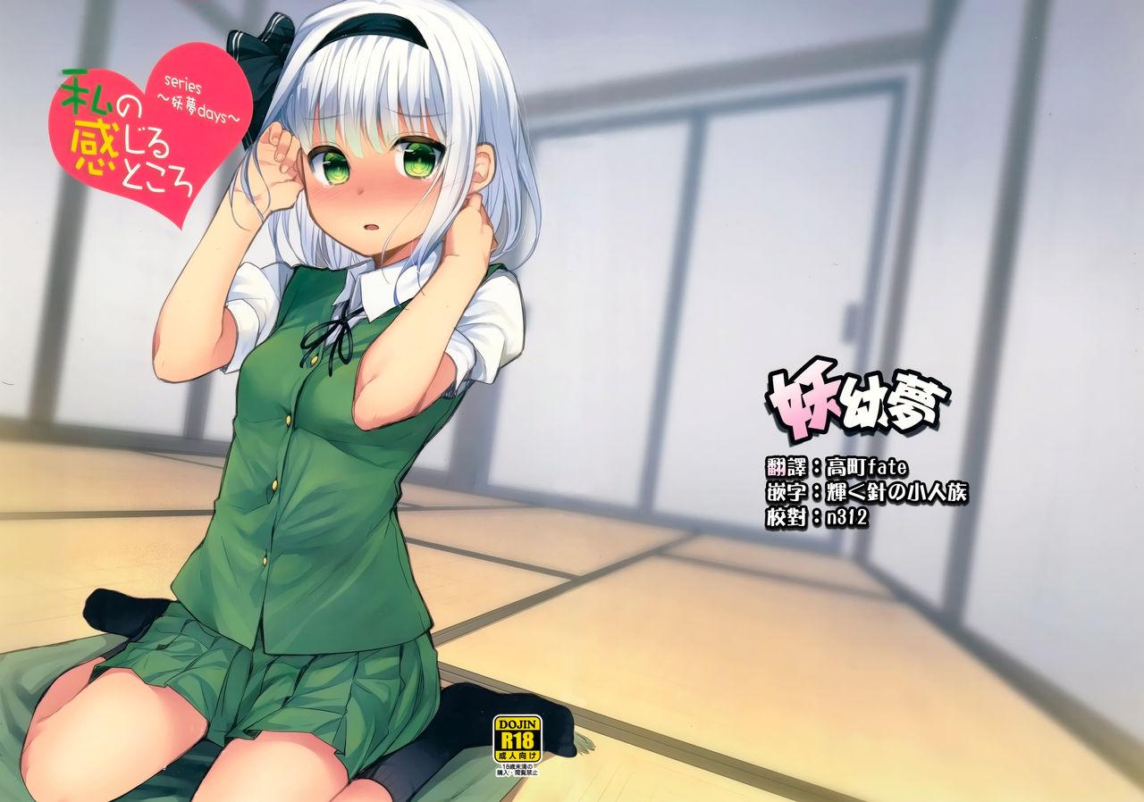 Face Youmu Days - Touhou project Brother - Picture 1