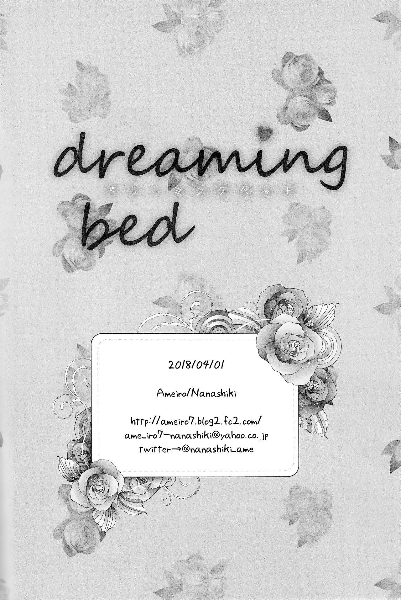 dreaming bed 18