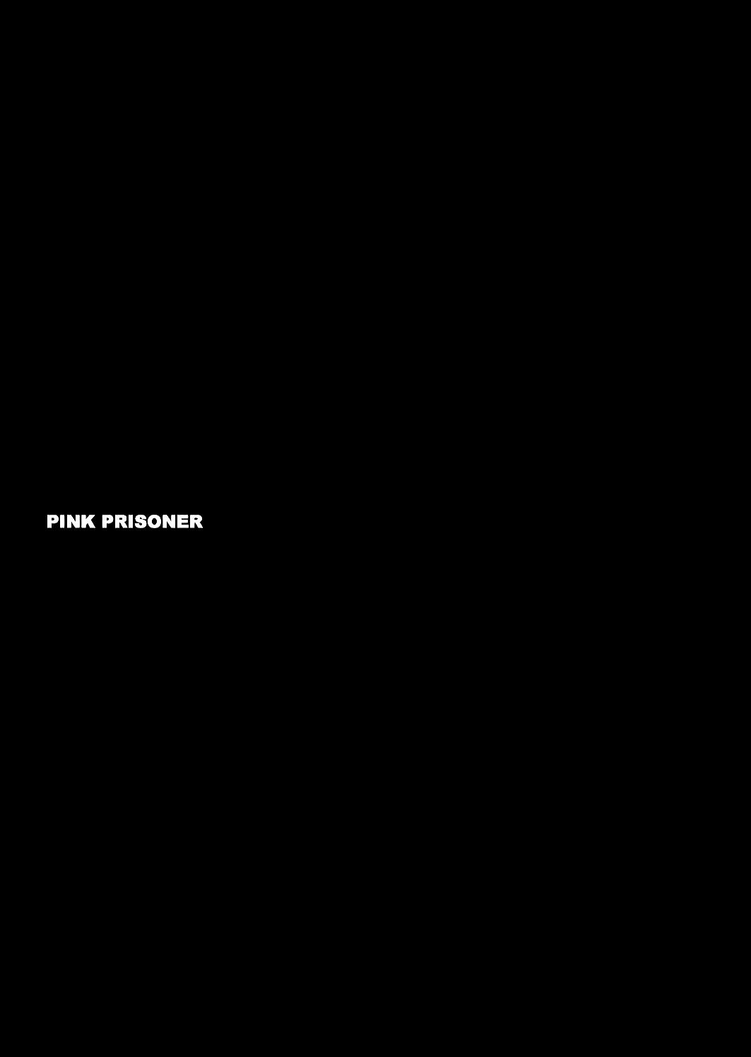 PINK PRISONER 2