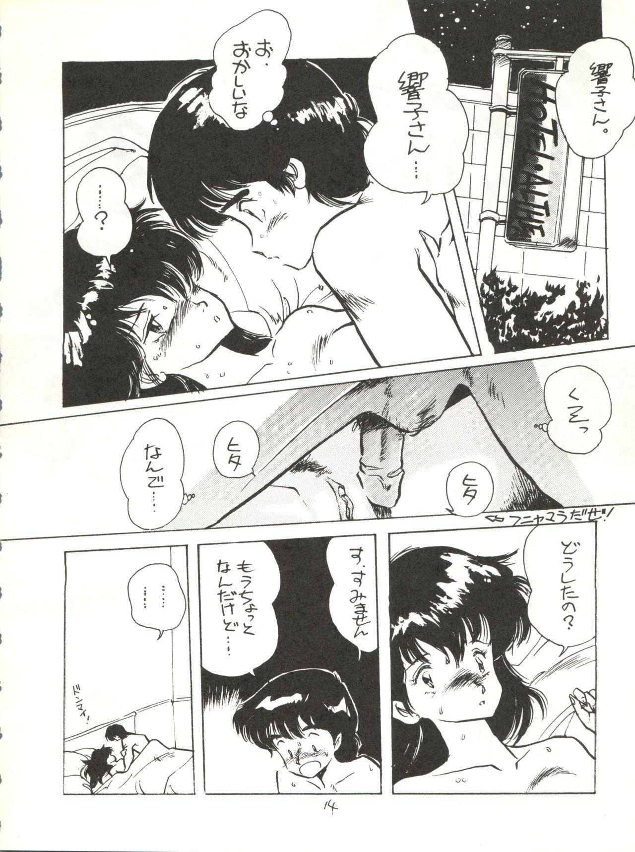 Chileno Copper Head! - Maison ikkoku Wingman Laputa castle in the sky Massage - Page 14