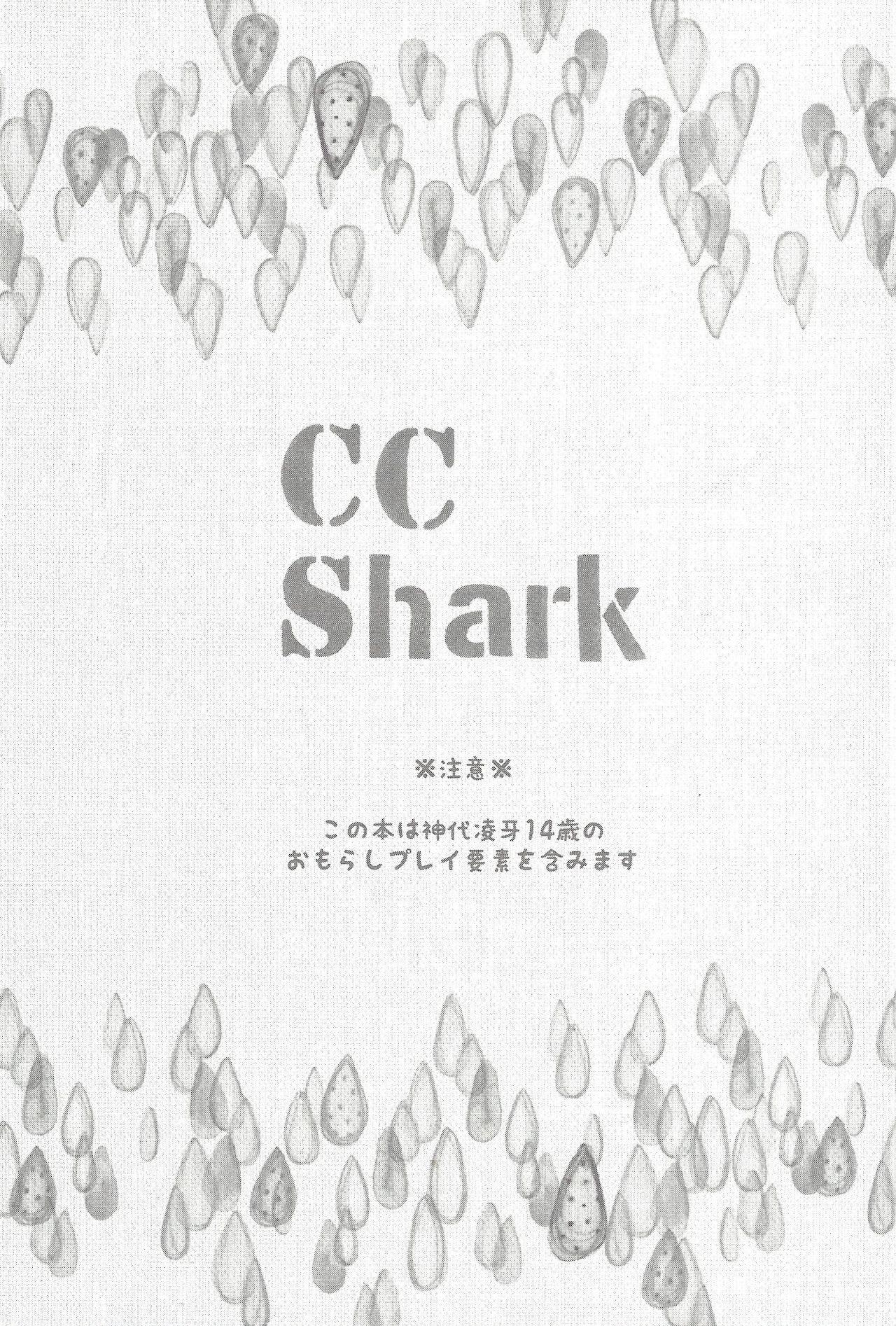 CC Shark 2 1