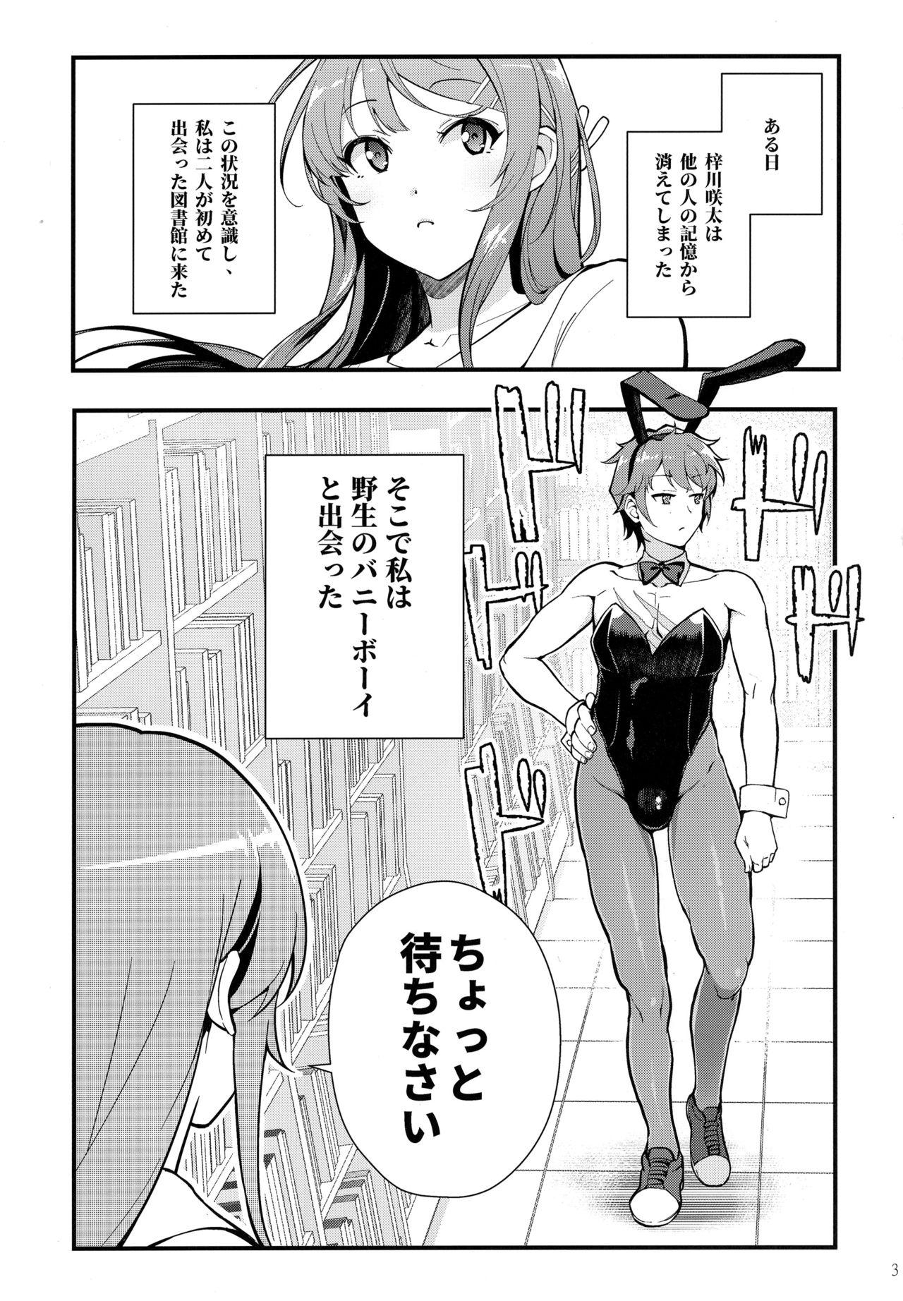 Stockings Bunny Lovers - Seishun buta yarou wa bunny girl senpai no yume o minai Gape - Page 4