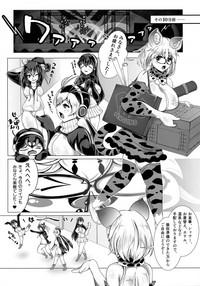 Margay no PPP Management 4