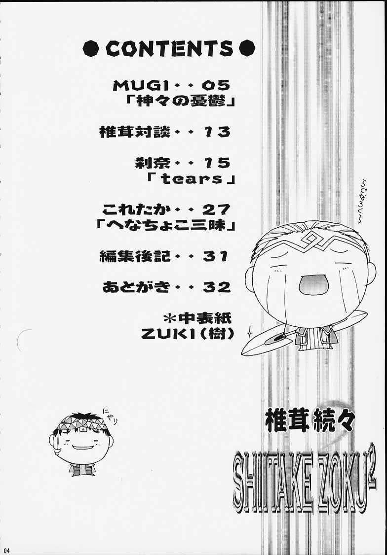 Famosa SHIITAKE ZOKUE 2 - Valkyrie profile Family - Page 3