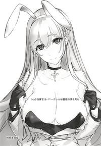 Shota Shikikan wa Bunny Girl Hishokan no Yume o Miru 3