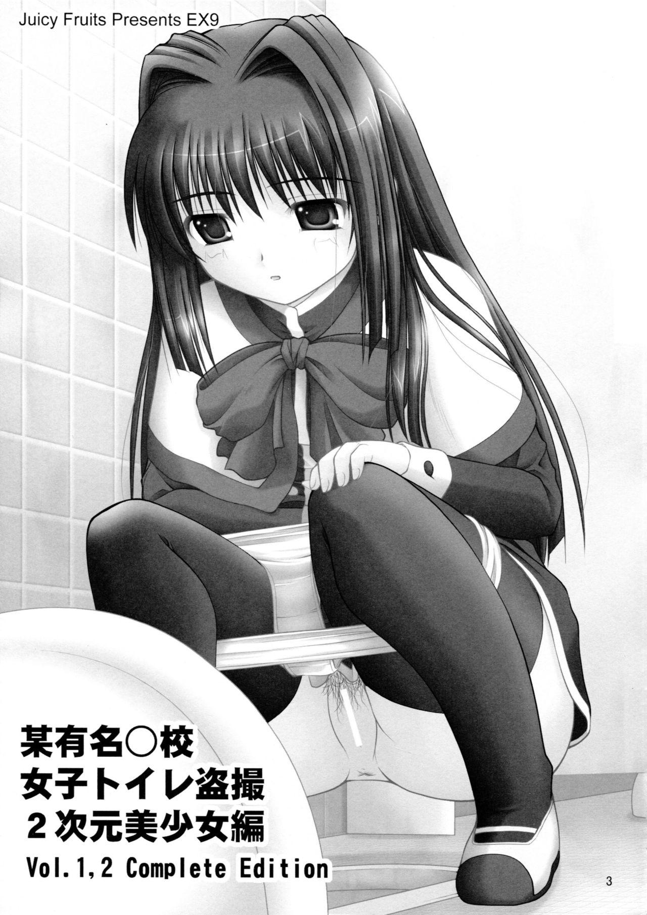 Bou Yuumei Koukou Joshi Toilet Tousatsu 2-jigen Bishoujo Hen Vol. 1, 2 Complete Edition 4