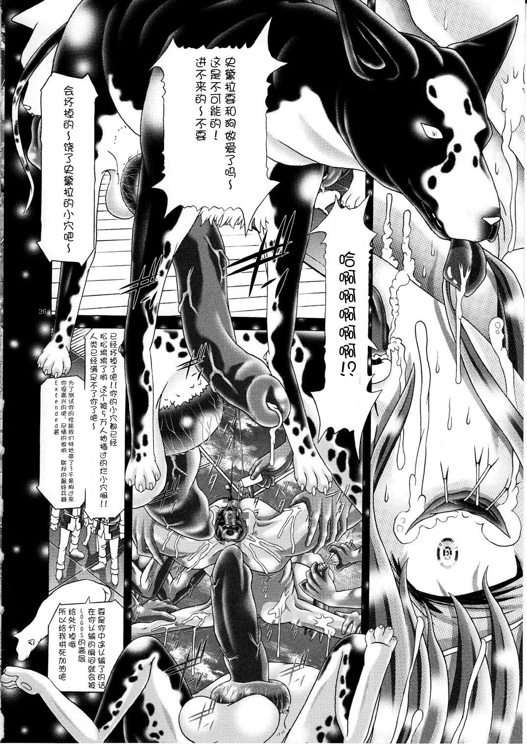 (C77) [Kaki no Boo (Kakinomoto Utamaro)] RANDOM NUDE Vol.5 92 〔STELLAR LOUSSIER〕 (Gundam Seed Destiny)【chinese】 26