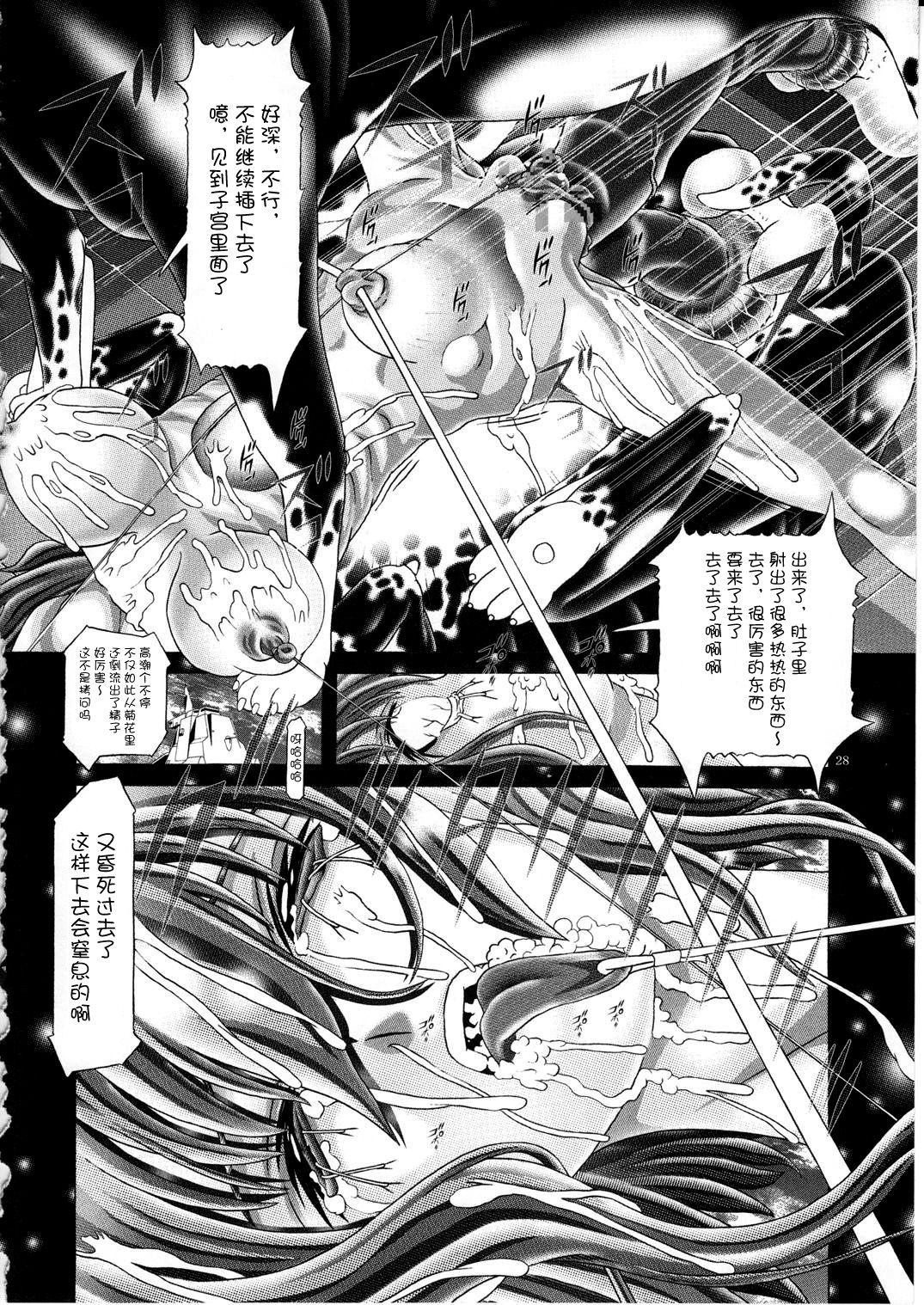 (C77) [Kaki no Boo (Kakinomoto Utamaro)] RANDOM NUDE Vol.5 92 〔STELLAR LOUSSIER〕 (Gundam Seed Destiny)【chinese】 28